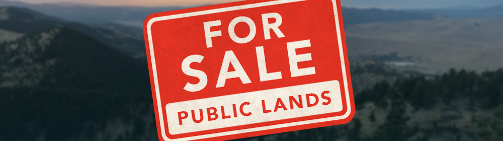 For Sale Public Lands Shelton